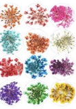 KB Encapsulated Dried Flowers