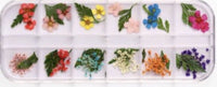KB Encapsulated Dried Flowers